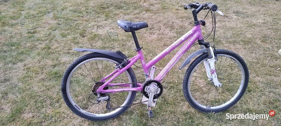 Rower dziewczęcy Leader Fox 24 Zielonki