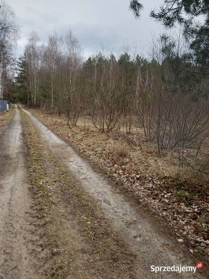 Działka na sprzedaż bez pośredników Sprzedaż mazowieckie Modzele-Bartłomieje