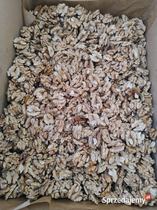 Orzechy włoskie łuskane Orzechy opolskie Nysa