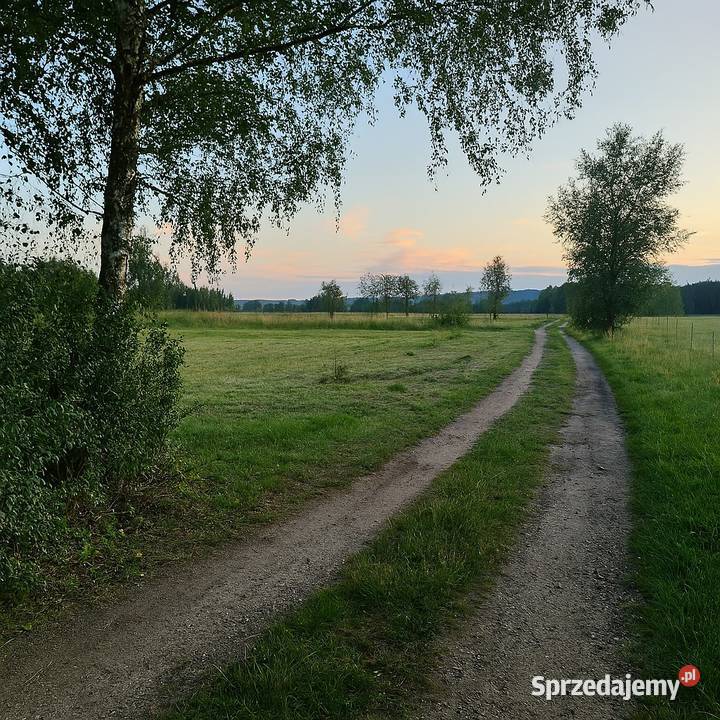 Działka działki Trzebiszewo 818ar