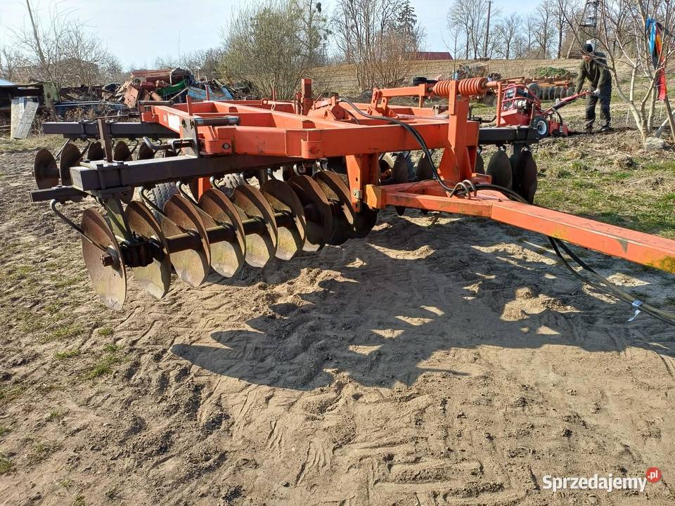 Brona Talerzowa Sitowiec