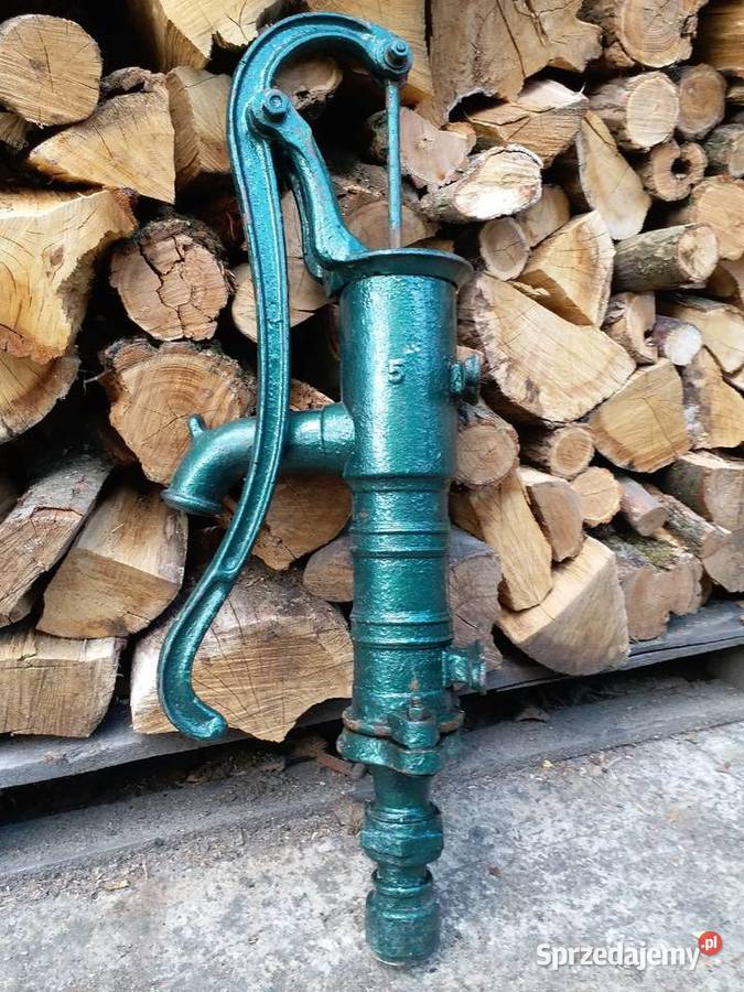 Pięknaduża pompa abisynka Gorzów Wielkopolski