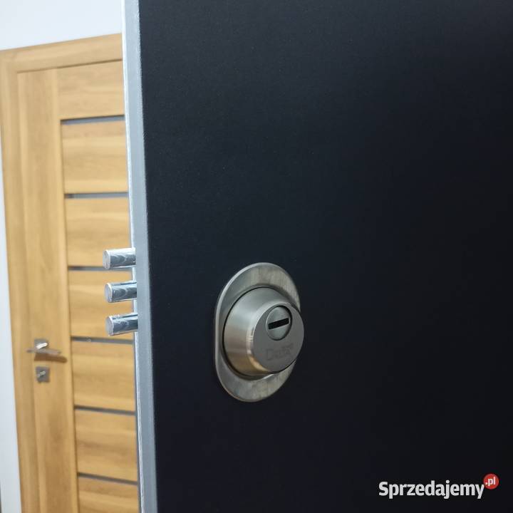 Drzwi Akustyczne 90 Prawe Kolor Antracyt śląskie Zabrze sprzedam