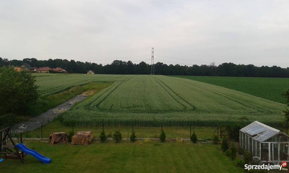 Działka 1000m Orzesze piękna i spokojna okolica budowlana śląskie Orzesze