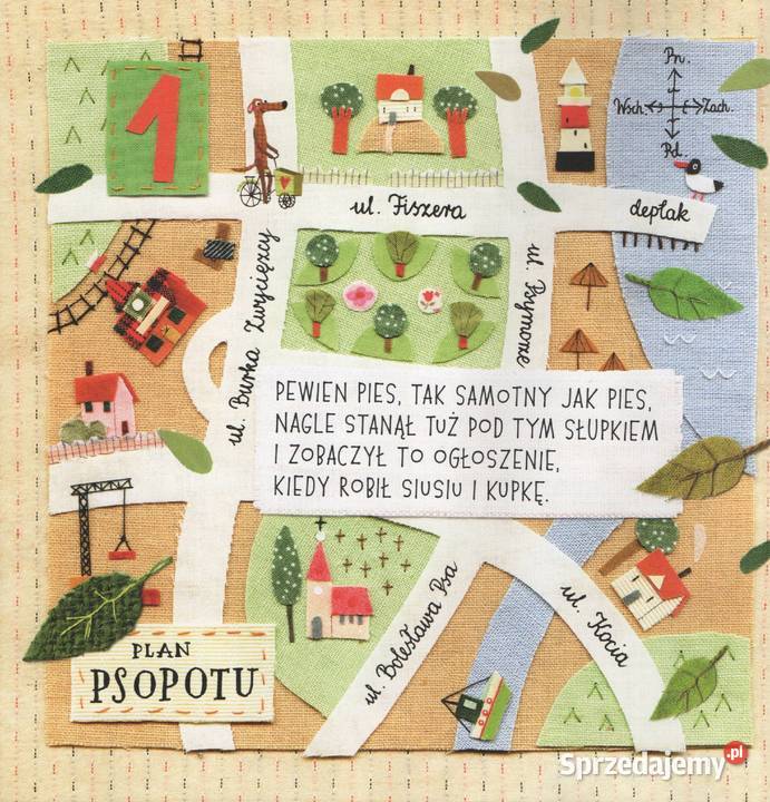 LICZYPIESKI Ewa KozyraPawlak Książki dla dzieci lubuskie Gorzów Wielkopolski sprzedam