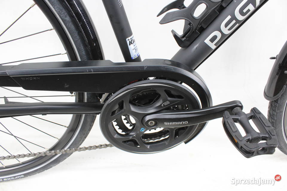 ALU rower męski PEGASUS 24 biegi Koła 28 Milicz sprzedam