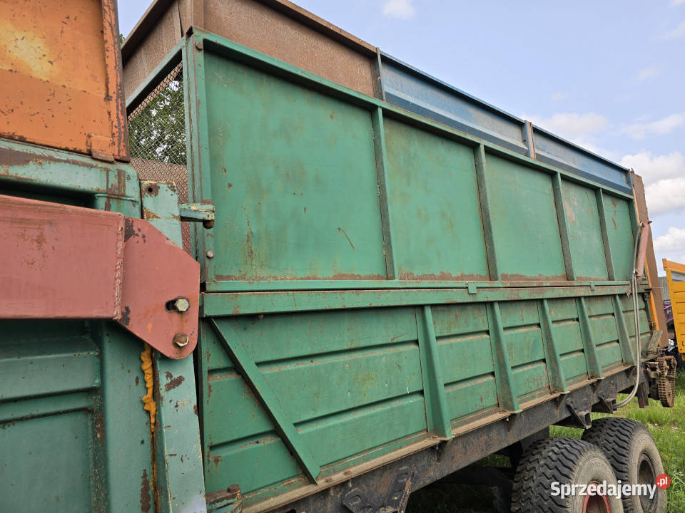 Przyczepa samowyładowcza PRT11 do kukurydzy Przyczepy rolnicze Włosty