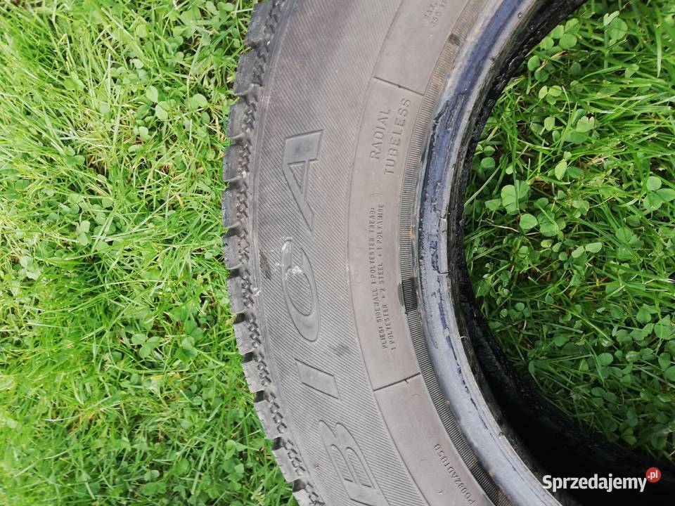 Opony zimowe Dębica Frigo nowe Izdebnik