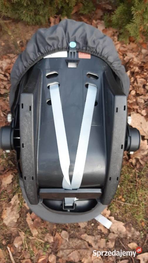 CHICCO SYNTHESIS Fotelik samochodowy nosidełko Końskie