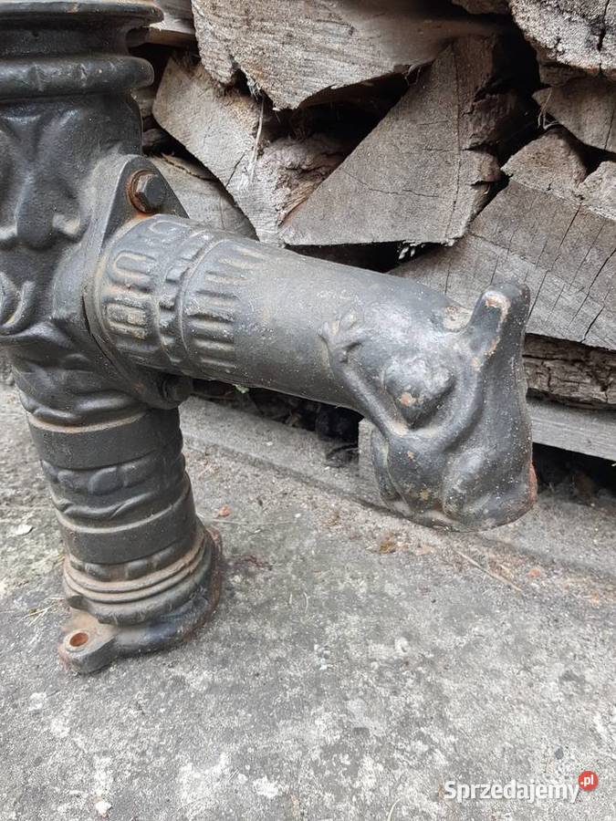 Pięknie zdobionaZabytkowaz kolekcji Pompa