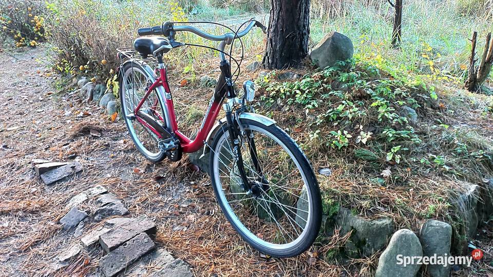 Alu Rower Miejski Damski Prince Damka Łabędź Wołów