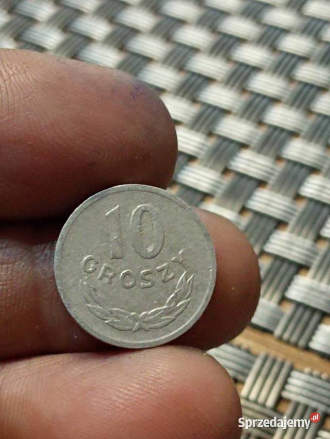 sprzedam 10 gr 1969 Chełm