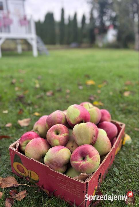 Działka rod rekreacyjna