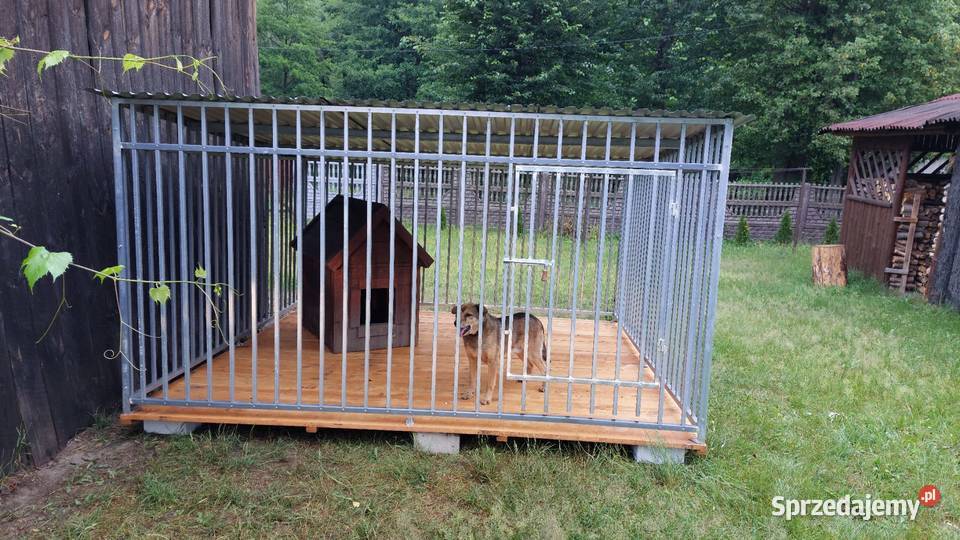 Kojec psa 3x2 Reks czarny TANIOCała PolskaSZYBKI Poznań