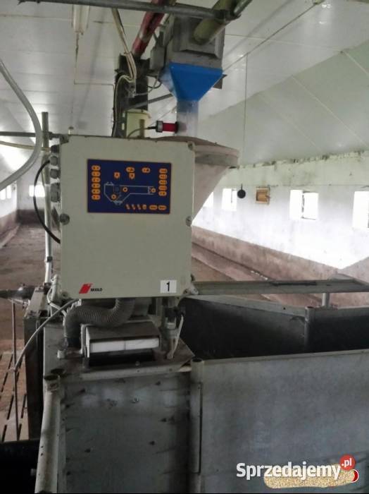 Stacja żywienia loch macior Skiold Datamix Gostynin