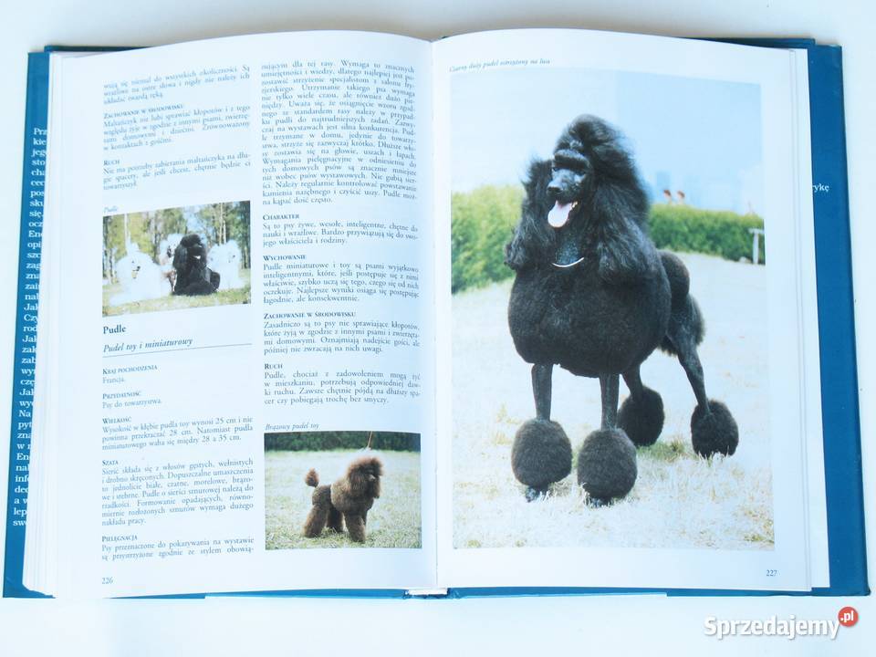 Encyklopedia Psów Ester J J VerhoefVerhallen Kraków