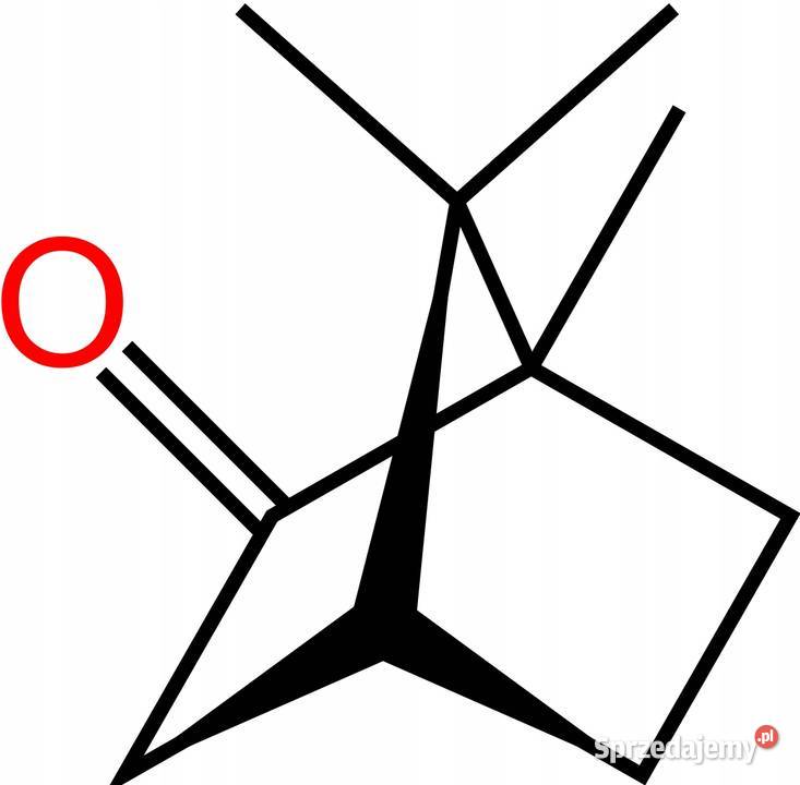 Kamfora Terpen Camphorum Camphor 1 łódzkie