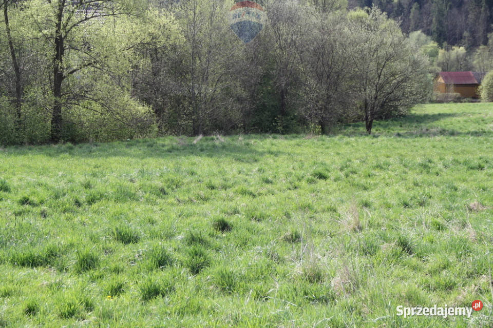 Kompleks działek w miejscowości Skomielna Biała 0m