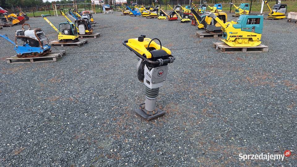 Skoczek Stopa WACKER NEUSON BS 502 plus 11in Trzebnica
