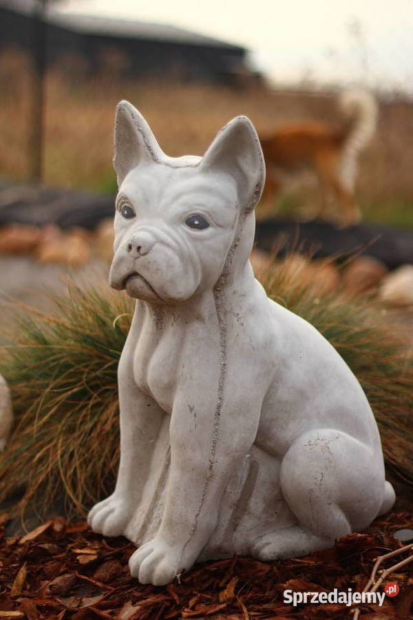 Figury rzeźby ogrodowe betonowe pies sprzedam