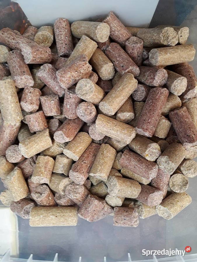 Przysmak koni cukierki koni jabłkowomarchewkowe Strzelce Wielkie