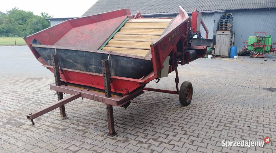 Kosz przyjęciowy do warzyw Horsch sprzedam