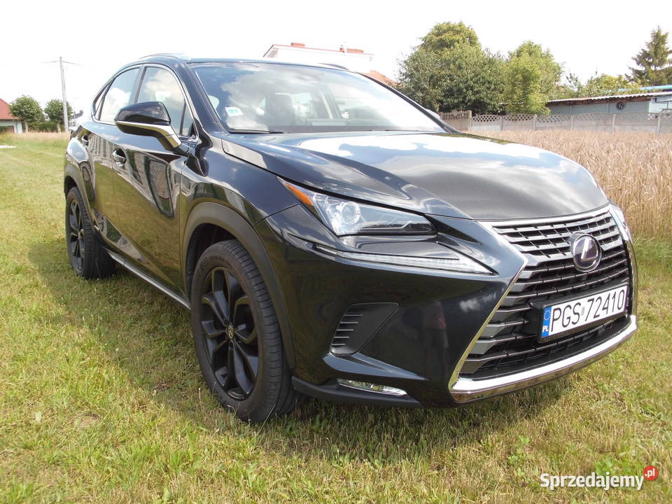 Lexus NX 300h Kaźmierz