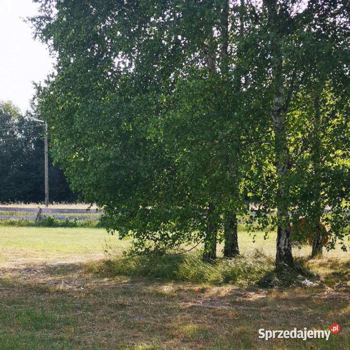Działka marzeń spokój widok i możliwości Czałczyn