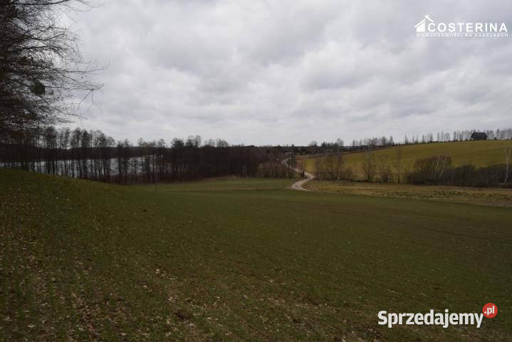 Działka Równe 14000m2