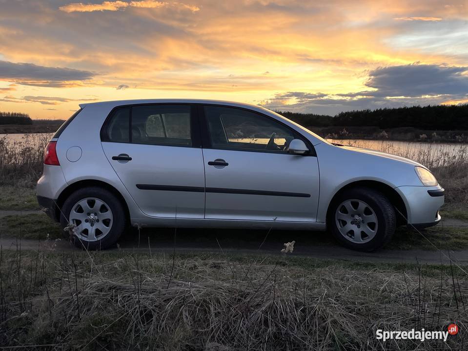 Volkswagen Golf V Comfortline 20 TDI 1968cm3 podkarpackie Przeworsk