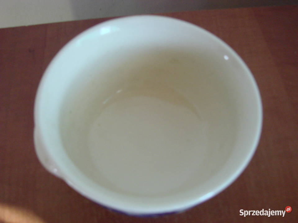 Włocłąwek fajansowa bulinówka Pozostałe