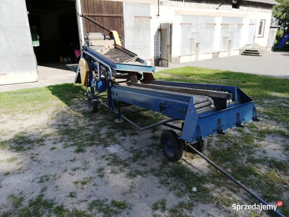 Sortownik do ziemniaków Puck Koło
