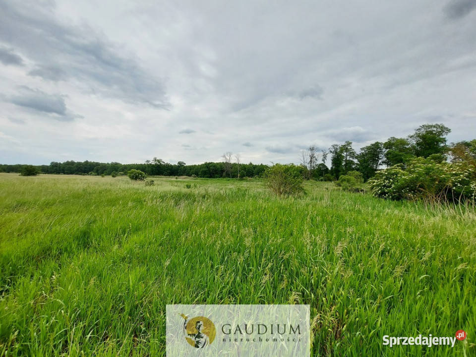 Malownicze działki brzegiem rzekiZielona Góra Karszyn sprzedam