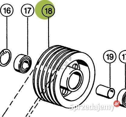 Claas Lexion 570 Rolka Prowadząca Napędu Pozostałe Jastrzębniki