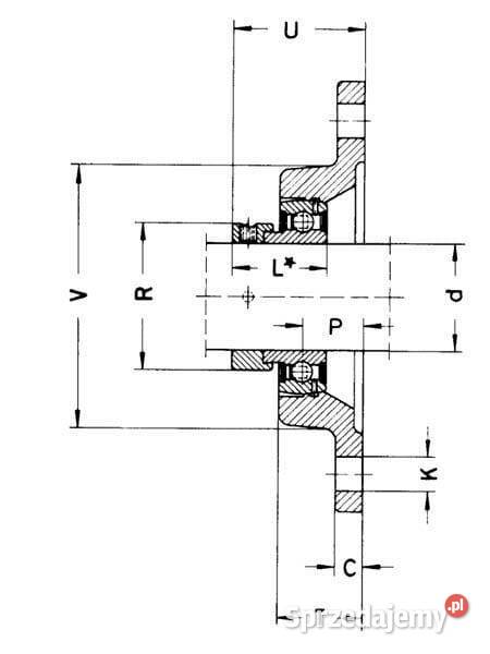 Łożysko z obudową 2otworowe kompletne PCJT35 Kamionna