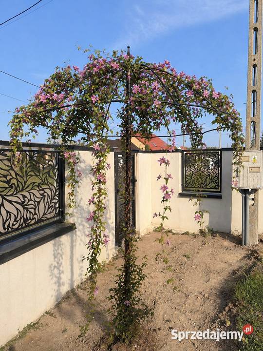 Pergola ogrodowa PARASOL Radom