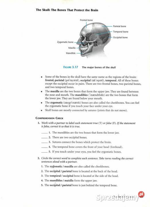 Anatomia Fizjologia Podręcznik jangielski Łódź sprzedam