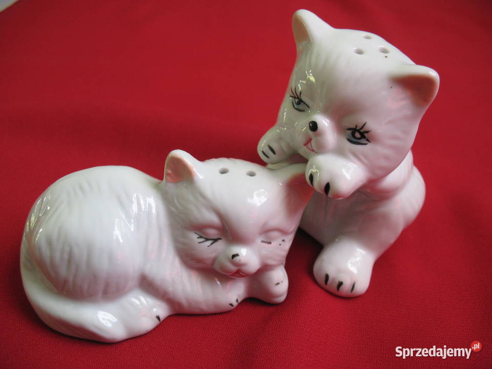 Sól i pieprz Kotki Solniczka i pieprzniczka