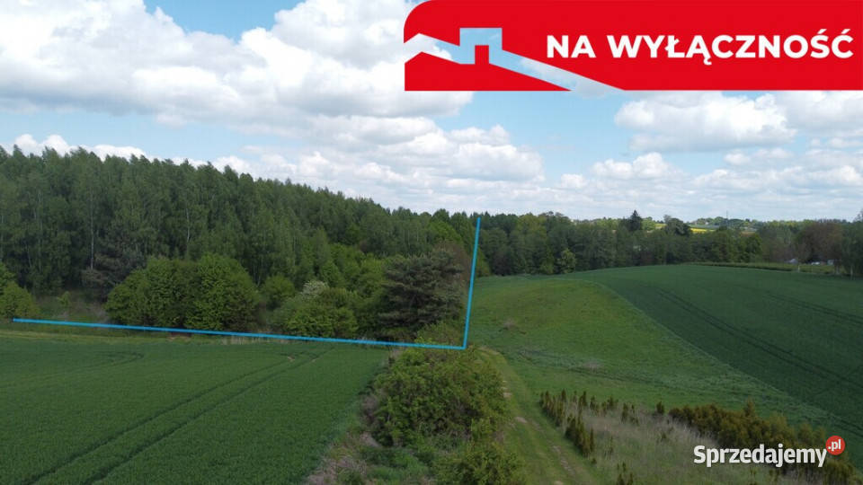 Działka 215 ha z potencjałem koło Nałęczowa Chruszczów-Kolonia