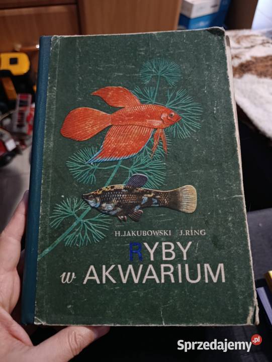 Ryby w akwarium autorstwa H Jakubowskiego i J Poznań sprzedam