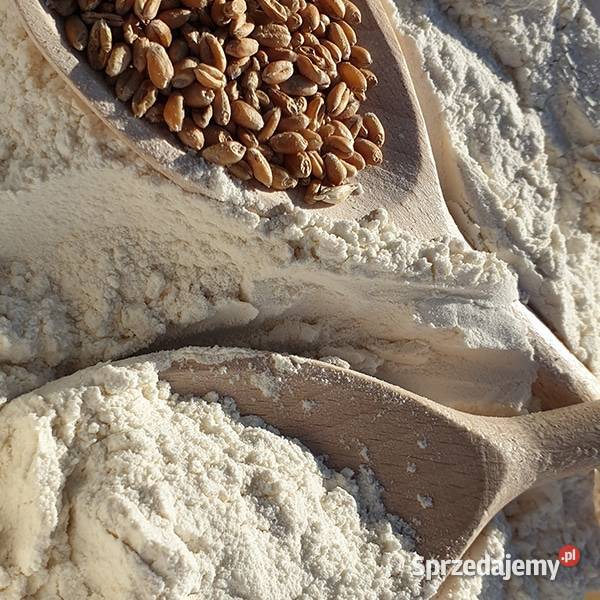 Sprzedam Mąkę pszenną podkarpackie Jagiełła