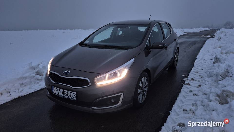 Kia Ceed 16 benzyna bezwypadkowy salon polska Jawornik Polski sprzedam