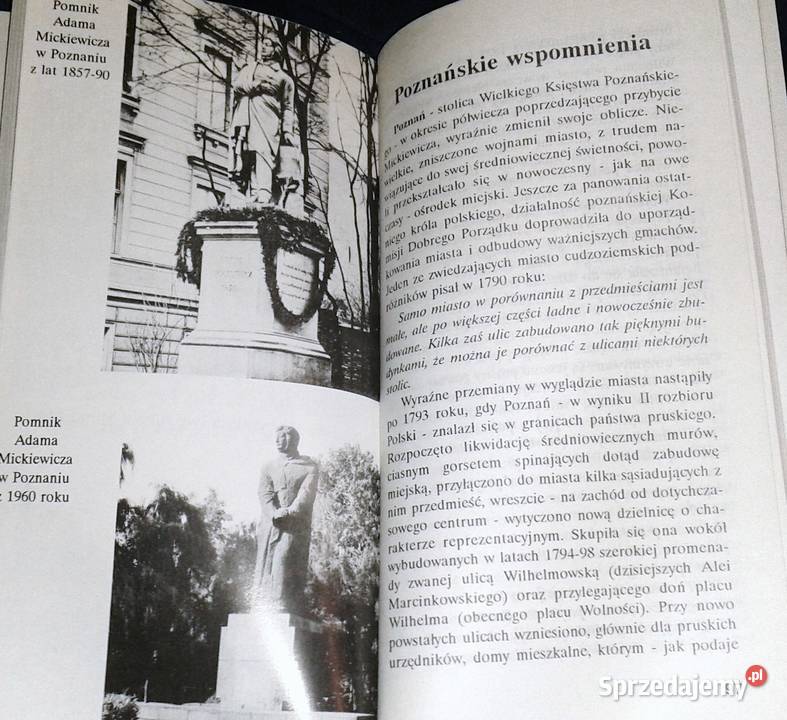 Wielkopolskim szlakiem Adama Mickiewicza Piotr Chełm