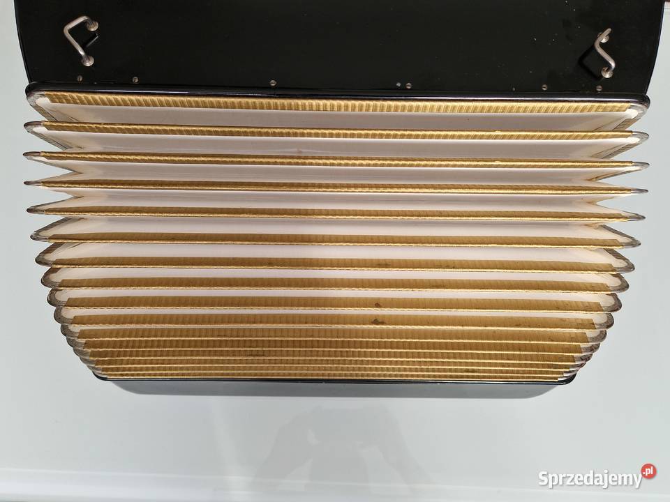Sprzedam Akordeon HOHNER Lucia IIIP 96 basowy z Jasienica