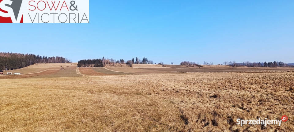 Słoneczna działka budowlana w Borównie Borówno