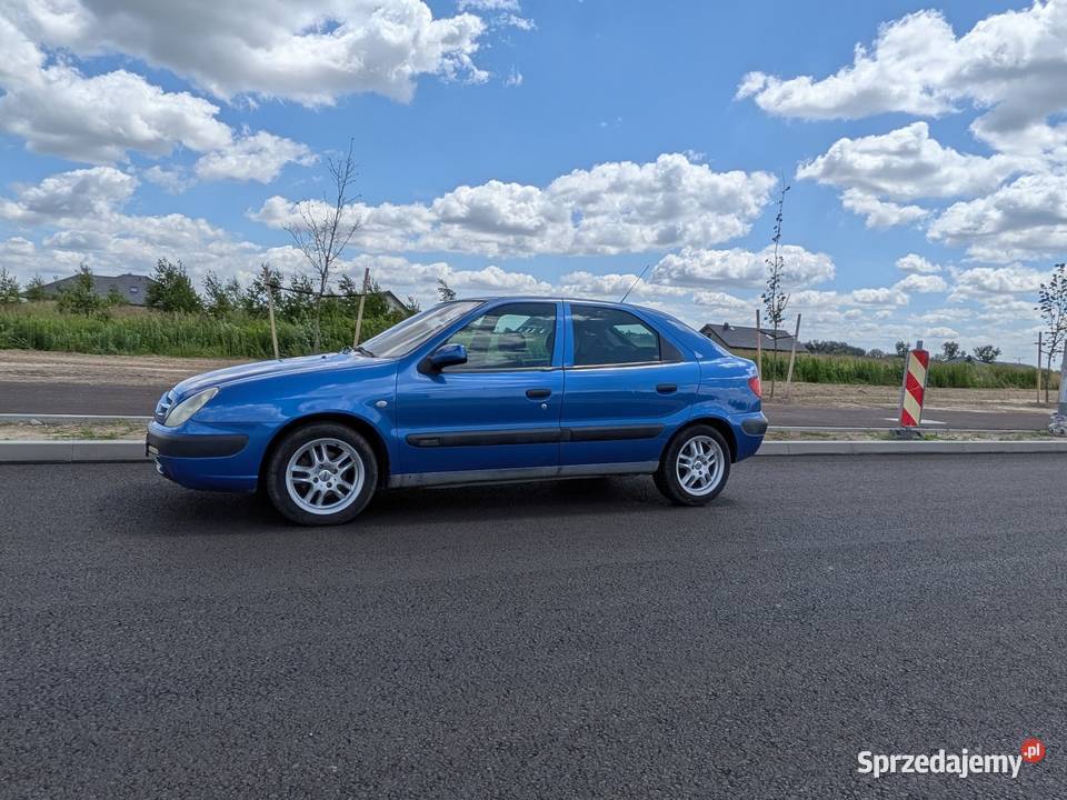 Citroen Xsara Syców