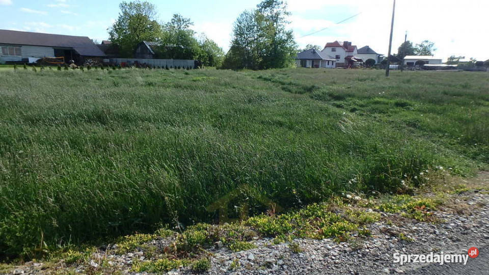 Działka w Lubicach Lubice
