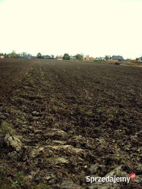 Działka przemysłowa w okolicy autostrady Wrocław