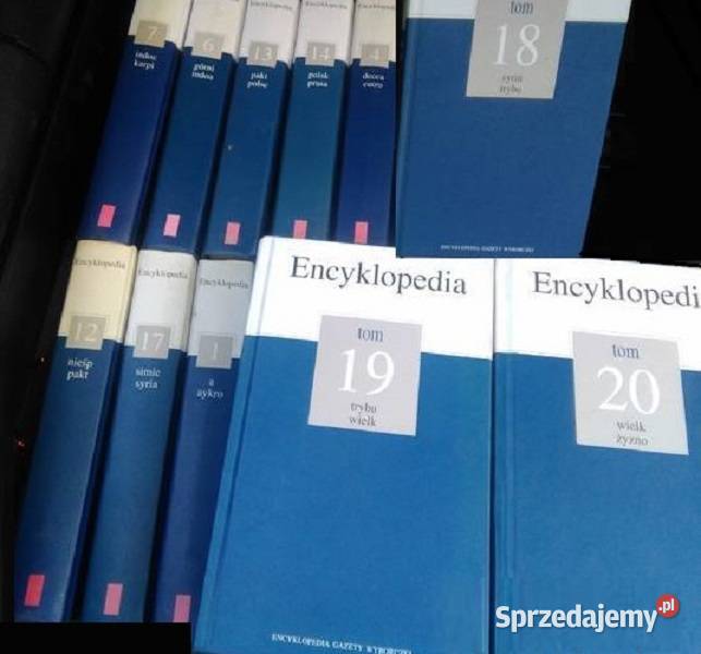 Encyklopedia szkolna PWN gazety wyborczej pomoc encyklopedie, słowniki, leksykony Kielce
