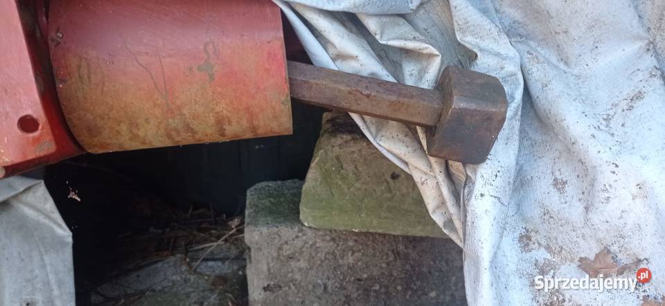 Heder do kukurydzy International 843f 4 rzędowy Rolnictwo Parzyce